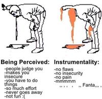 L Being Perceived: -people judge you -makes you insecure -you have to do things -so much effort -never goes away -not fun :( Instrumentality: -no flaws -no insecurity -no pain -mmmmm 11 Fanta,,,,