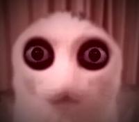 Alien Cat (Void Version)