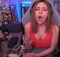 Invest in Alinity being bitten by her cat | /r/MemeEconomy