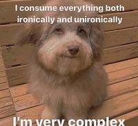 I consume everything both ironically and unironically I'm very complex