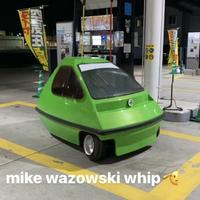 的良风品。 Self mike wazowski whip