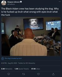 Dwayne Johnson @TheRock The Black Adam crew has been studying the dog. Why is he f----- up bruh what wrong with eyes bruh what the f--- !This dog is f----- up bruh . 6:16 PM Aug 29, 2022 · Twitter for DC Hierarchy this dog is bruh 5.5K Retweets 1.4K Quote Tweets 57.5K Likes 27 ...