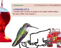 10/17/21(Sun)23:14:15 No.65805240 : Anonymous >>65804999 (OP) # i usually add a scoop of sugar to my water bottle makes the day a little more sweet :) 15 F PENNINGTON News Springs Neta AND FOOD 9 Red Nectar Ready-to-Use MORE Hectar roug prêt à Pey PRI