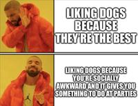 LIKING DOGS BECAUSE THEY'RE THE BEST LIKING DOGS BECAUSE YOU'RE SOCIALLY AWKWARD AND IT GIVES YOU SOMETHING TO DO AT PARTIES Outerwear Human Sleeve Orange Organism Gesture Font Smile
