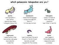 I relate most closely to Aegirocassis.

Info on the animals here:
https://en.wikipedia.org/wiki/Peytoia
https://en.wikipedia.org/wiki/Anomalocaris
https://en.wikipedia.org/wiki/Hallucigenia
https://en.wikipedia.org/wiki/Aegirocassis
https://en.wikipedia.org/wiki/Opabinia
https://en.wikipedia.org/wiki/Hurdia