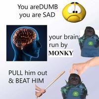 You areDUMB you are SAD PULL him out & BEAT HIM your brain run by MONKY