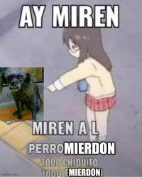 Este es Mierdon: Image Gallery | Know Your Meme