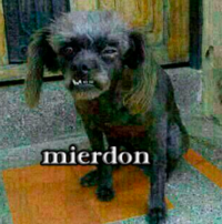 Este es Mierdon: Image Gallery | Know Your Meme