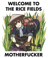 WELCOME TO THE RICE FIELDS MARP M-----------