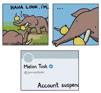 HAHA LOOK, I'M.. MART VIRKUS @ARCADERAGE Melon Tusk ✔ @joinmastodon Account suspend