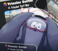 Tricolor Batt Tricolor Turf War Tricolor Battle Tricolor Turf War V Tr Sturgeon Shipt