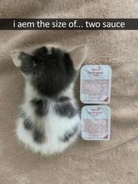 i aem the size of... two sauce