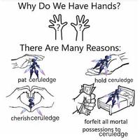 Why Do We Have Hands? There Are Many Reasons: pat ćeruledge cherish ceruledge hold ceruledge forfeit all mortal possessions to ceruledge