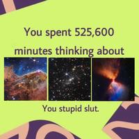 You spent 525,600 minutes thinking about You stupid slut.