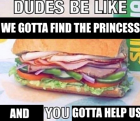 DUDES BE LIKE WE GOTTA FIND THE PRINCESS AND YOU GOTTA HELP US