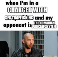 when I'm in a CHARGED WITH SEXTRAFFICKING and my THE ROMANIAN opponent is JUDICIAL SYSTEM