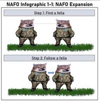 NAFO Infographic 1-1: NAFO Expansion Step 1: Find a fella Step 2: Follow a fella