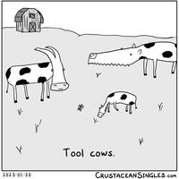 V 2023-01-20 X k Tool cows. I V CRUSTACEANSINGLES.com
