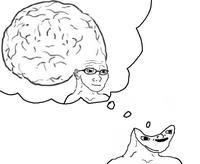 Big Brain Dreams