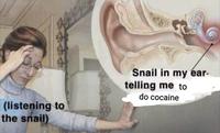 (listening to the snail) Snail in my ear- telling me to do cocaine