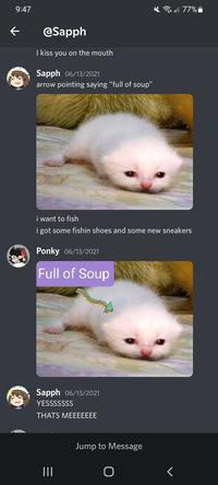 First created on Discord on June 13th, 2021, by ItsPonky.