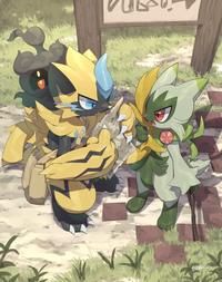 Zeraora, an explorer who asks for directions, and Floragato, a neighborhood kid who answers that question.