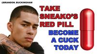 Don’t Take Sneako’s Red Pills #4