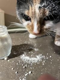 cocaine