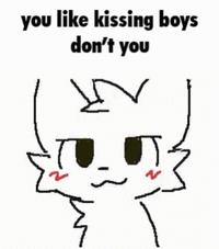 you like kissing boys don't you