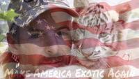 MAKE AMERICA EXOTIC AGAIN