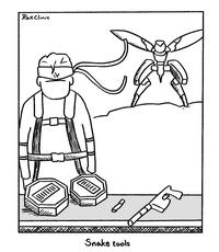 m Rat Clinic L 6 Snake tools Jas