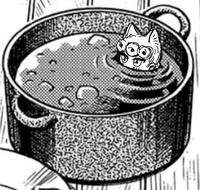 牌