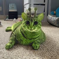 Green Alien Cat