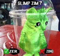 ZER GLIMP ZIM? 00 ZONG