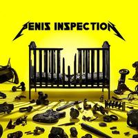 JENIS INSPECTION 304