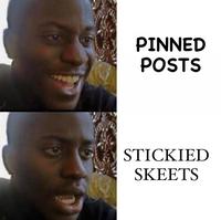 PINNED POSTS STICKIED SKEETS