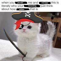 when you plunder literally who your about how addled me and ransacking that is X4 me crew this is just think