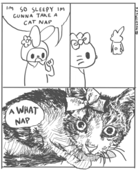 IM SO SLEEPY IM GUNNA TAKE A CAT NAP A WHAT NAP Z = }}/ Lon R MAF ALE You SSOWAH SAW @