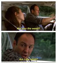 Are you the weed? Am I the what?