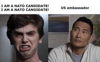 I AM A NATO CANDIDATE! I AM A NATO CANDIDATE! US ambassador