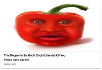 This Pepper Is So Hot It Could Literally Kill You Please don't eat this eater.com