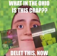 WHAT IN THE OHIO IS THIS CRAP?? THIS IS NOT OKIE DOKIE do you are have stupid DELET THIS, NOW