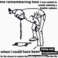 me remembering how I was content to remain enduring a familiar sadness C when i could have been' risking only disappointment for the chance to explore the endless possibilities in this life