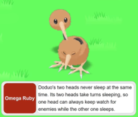 VOL Omega Ruby www. MAN Doduo's two heads never sleep at the same time. Its two heads take turns sleeping, so one head can always keep watch for enemies while the other one sleeps.