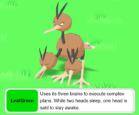 LeafGreen www. Uses its three brains to execute complex plans. While two heads sleep, one head is said to stay awake.