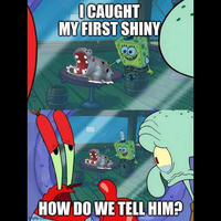 I CAUGHT MY FIRST SHINY HOW DO WE TELL HIM? ingflip.com