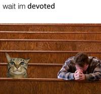 wait im devoted TWAK