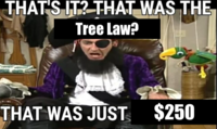 THAT'S IT? THAT WAS THE Tree Law? thu THAT WAS JUST $250