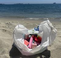 Bag Full of Elf Bars at the beach