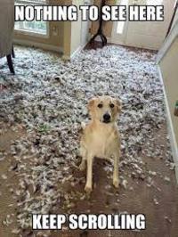 NOTHING TO SEE HERE KEEP SCROLLING